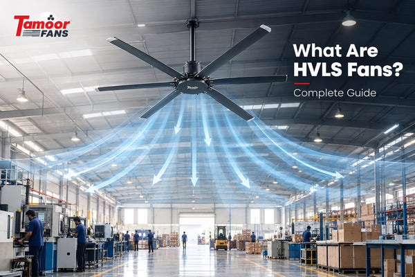 What are HVLS Fans? Complete Guide