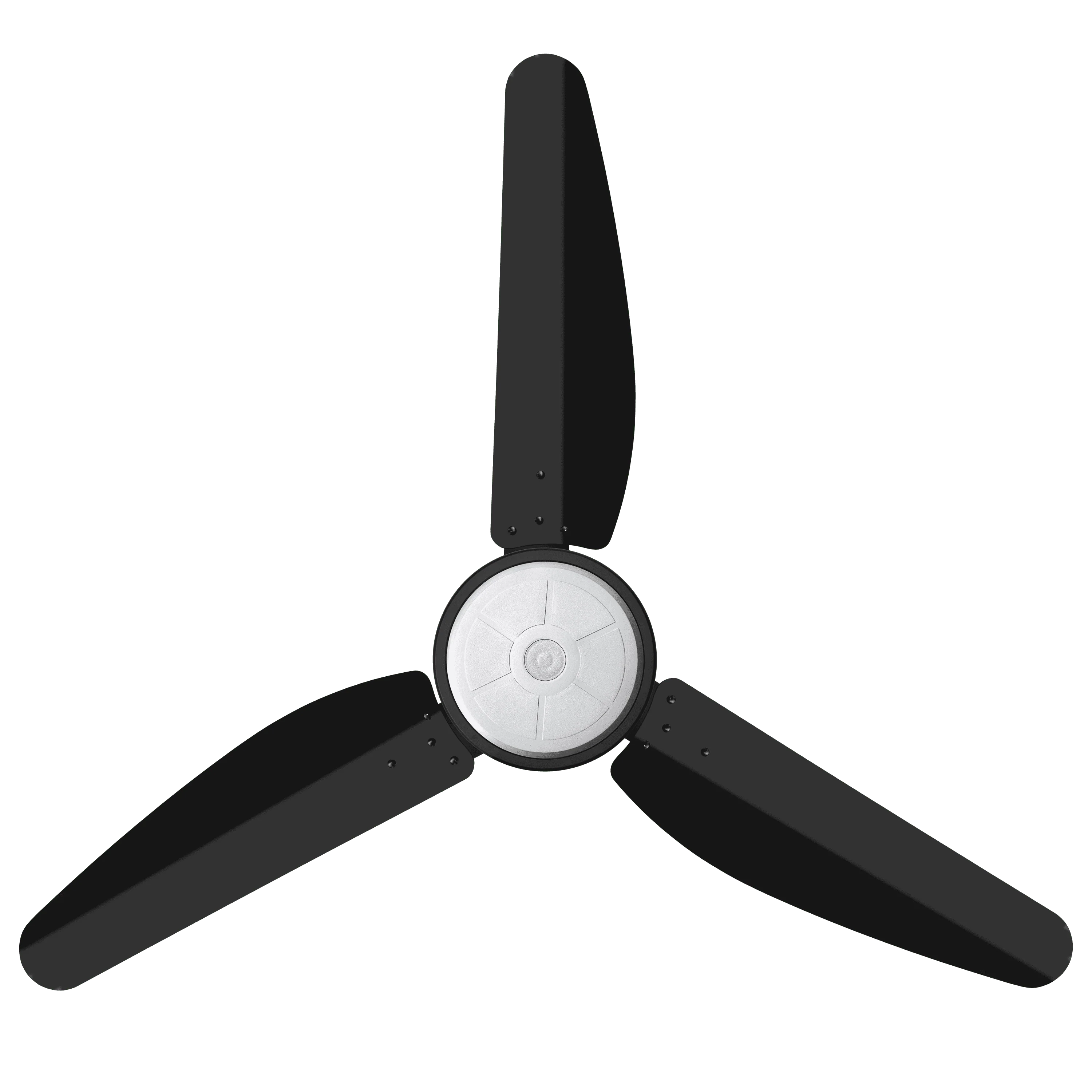 Tamoor Fan