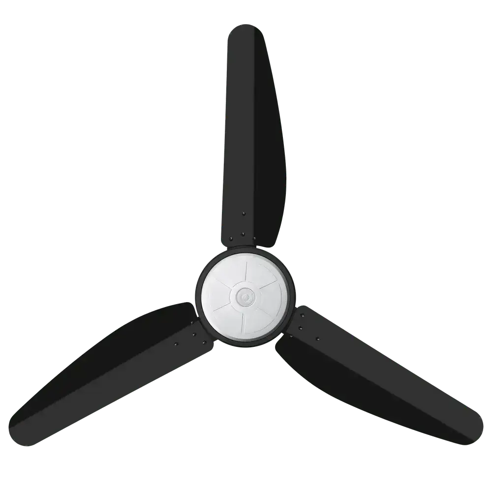 Tamoor Fan