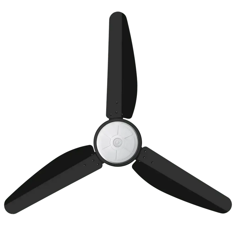 Tamoor Fan