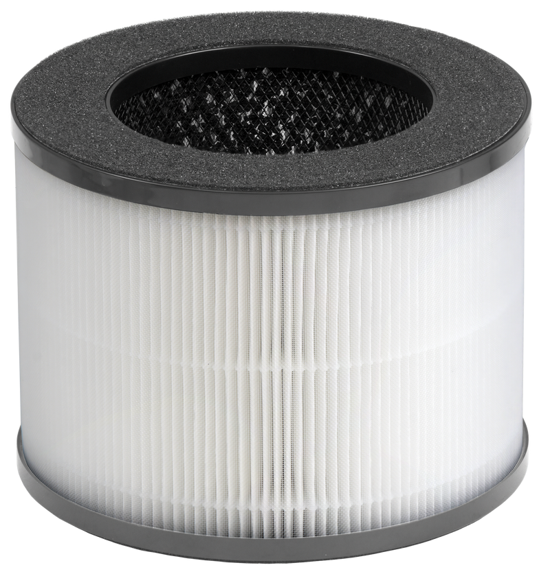 Tamoor Smart Air Purifier