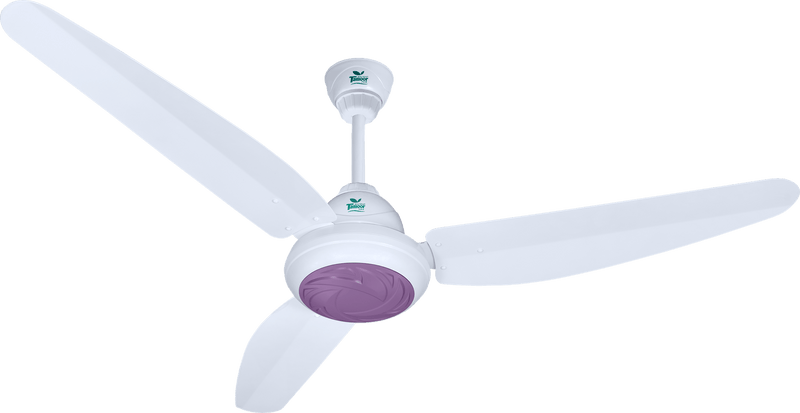 Executive Plus Model | Eco-Smart 30 Watt