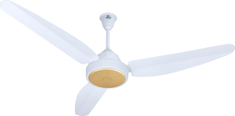 Magnum Plus Model | Eco Smart 30 Watt