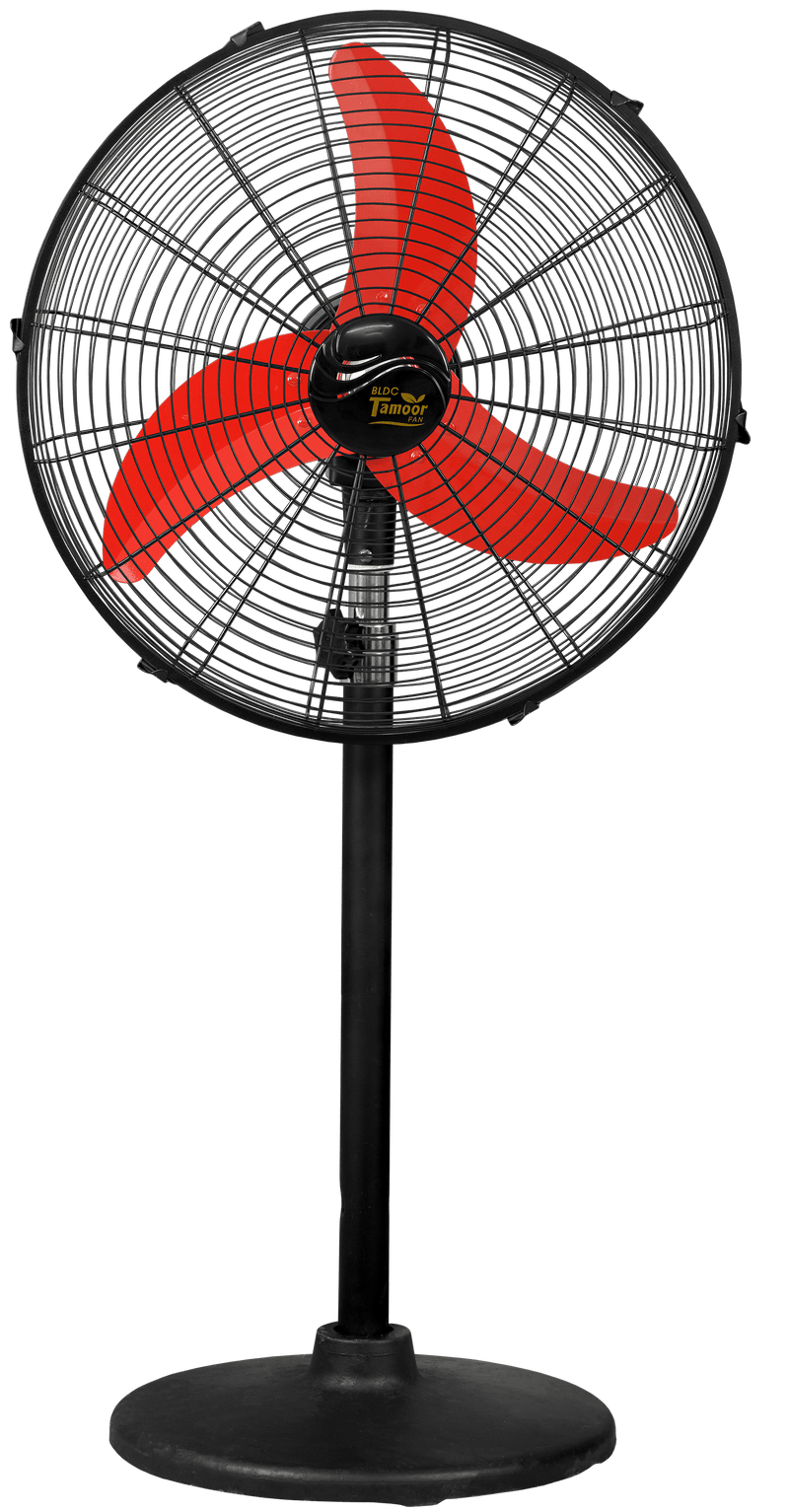 Eco Supreme Model 20" |  AC/DC