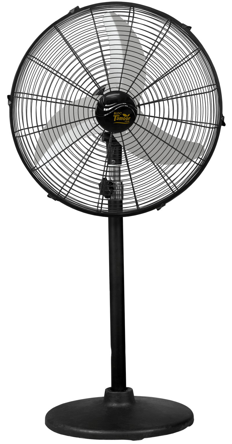 Eco Supreme Model 20" |  AC/DC