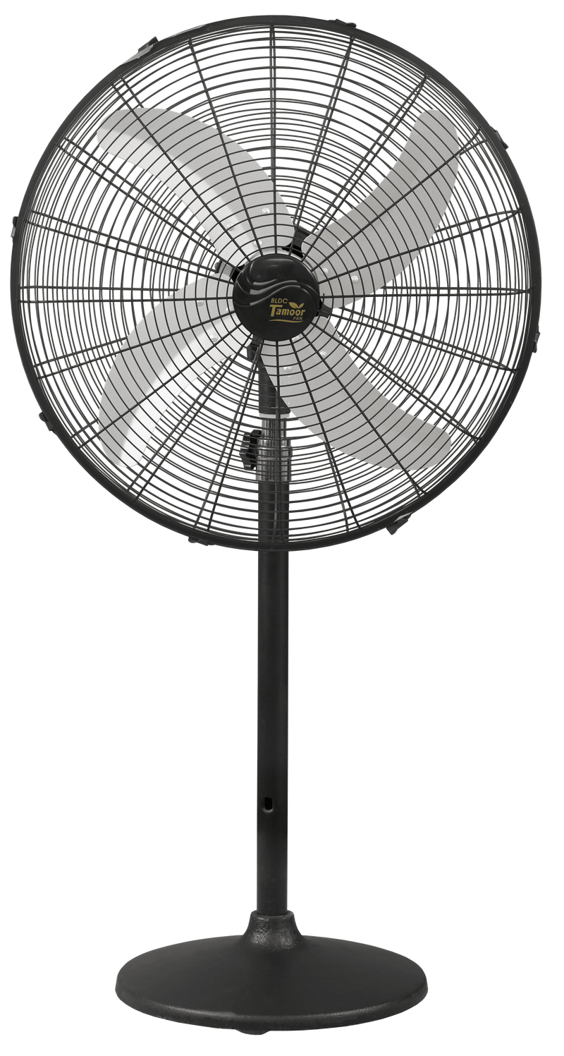 Eco Supreme Model 24" |  AC/DC