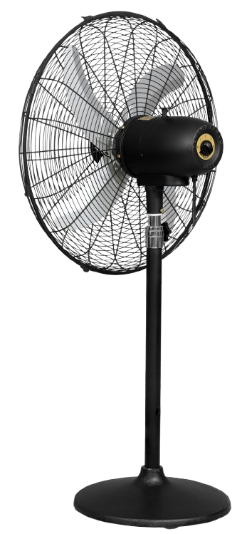 Eco Supreme Model 24" |  AC/DC
