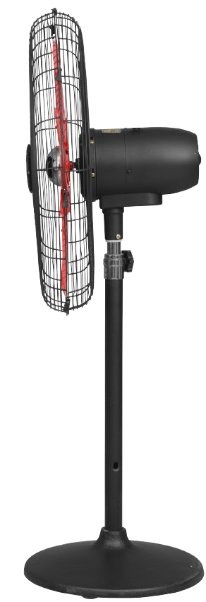 Eco Supreme Model 24" |  AC/DC
