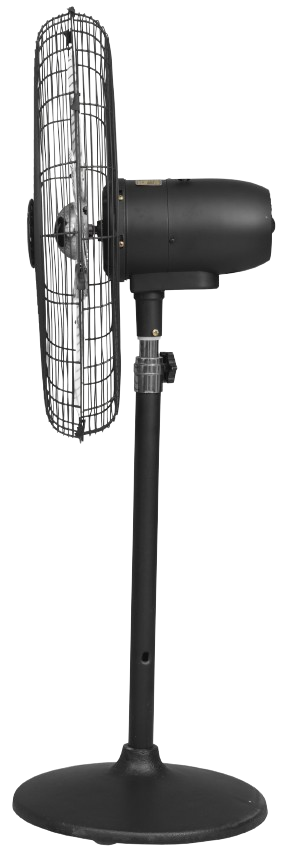 Eco Supreme Model 24" |  AC/DC