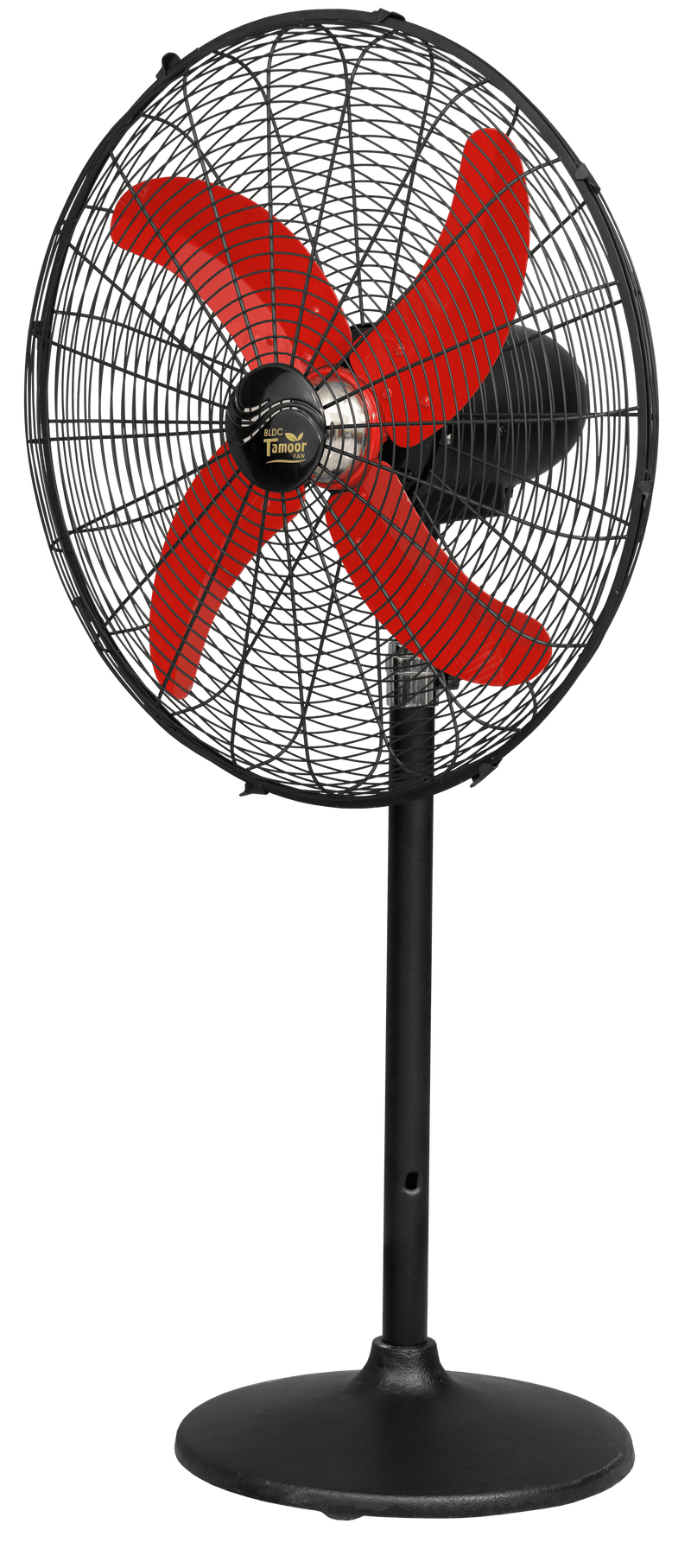 Eco Supreme Model 24" |  AC/DC