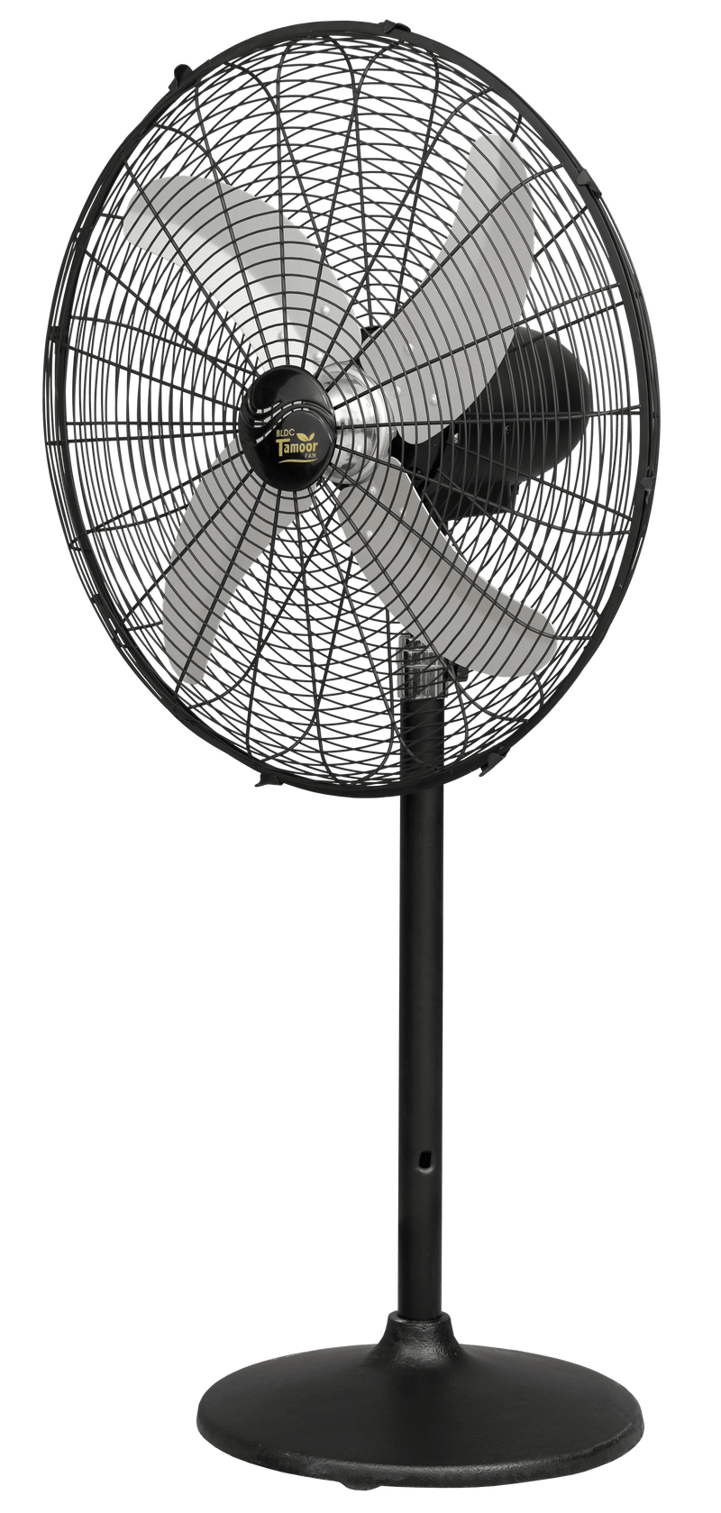 Eco Supreme Model 24" |  AC/DC