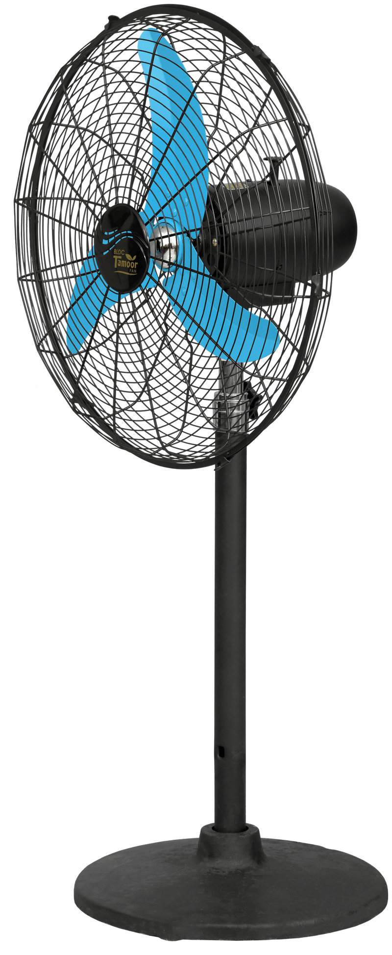 Eco Supreme Model 20" |  AC/DC