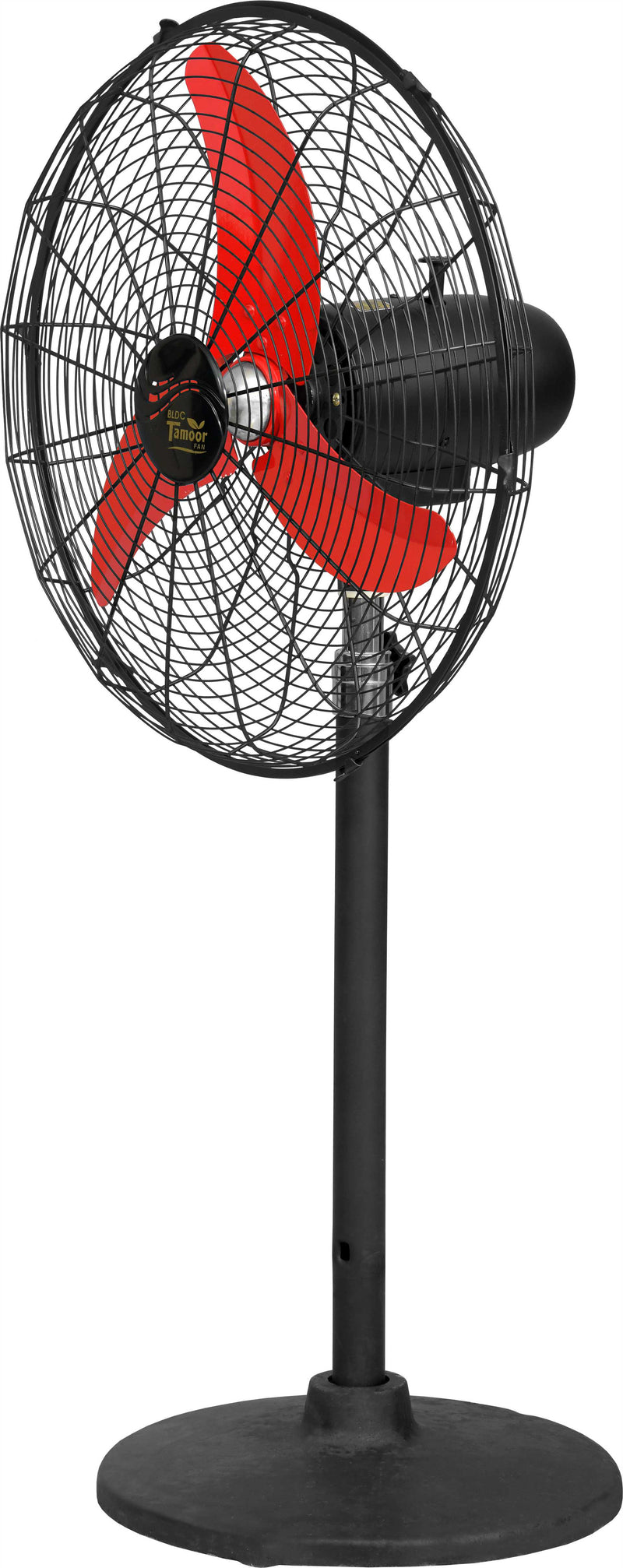 Eco Supreme Model 20" |  AC/DC