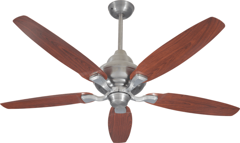 Sentinal Model | Eco-Smart 30 Watt