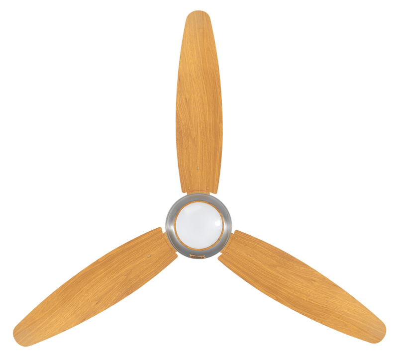 Ovate Luminous Model | Eco-Smart 30 Watt