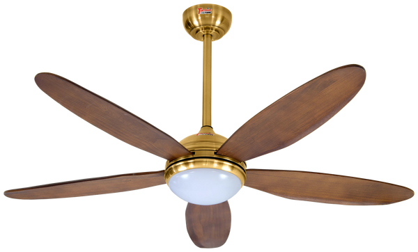 Lumière Model