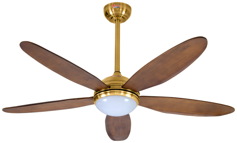 Lumière Model