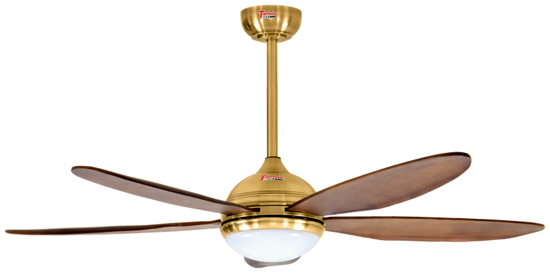 Lumière Model