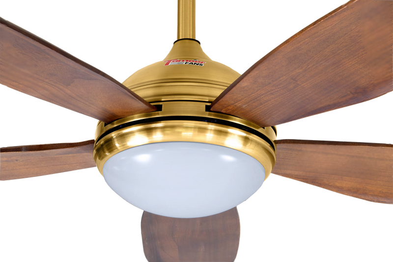 Lumière Model