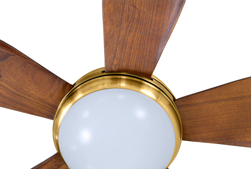 Lumière Model