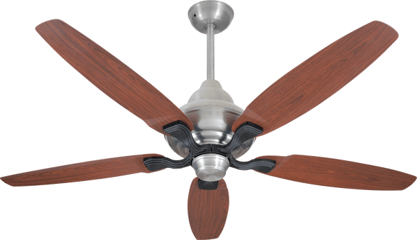 Sentinal Model | Eco-Smart 30 Watt