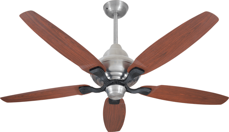 Sentinal Model | Eco-Smart 30 Watt