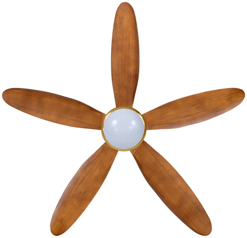 Lumière Model