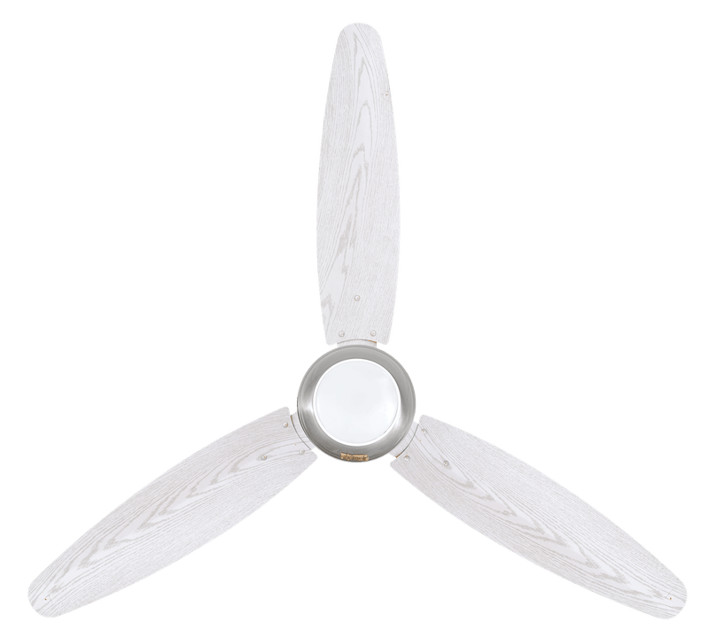 Ovate Luminous Model | Eco-Smart 30 Watt