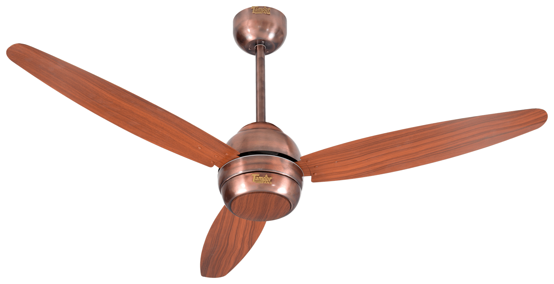 Ovate Plus Model | Eco-Smart 30 Watt