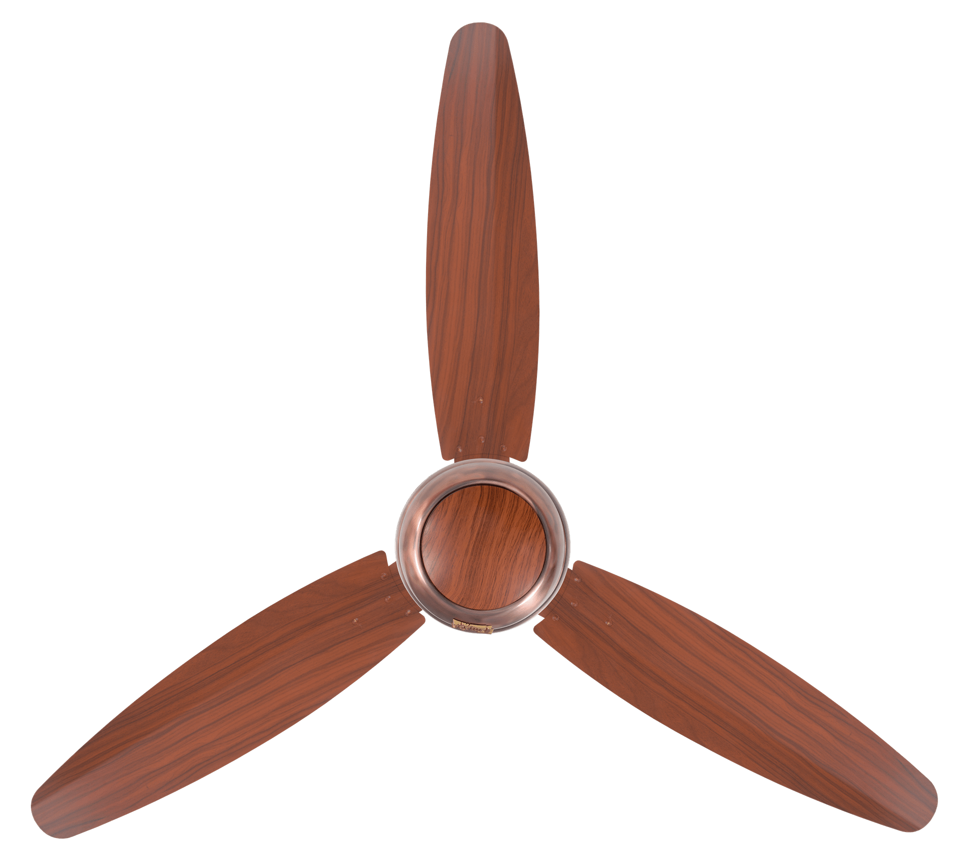 Ovate Plus Model | Eco-Smart 30 Watt