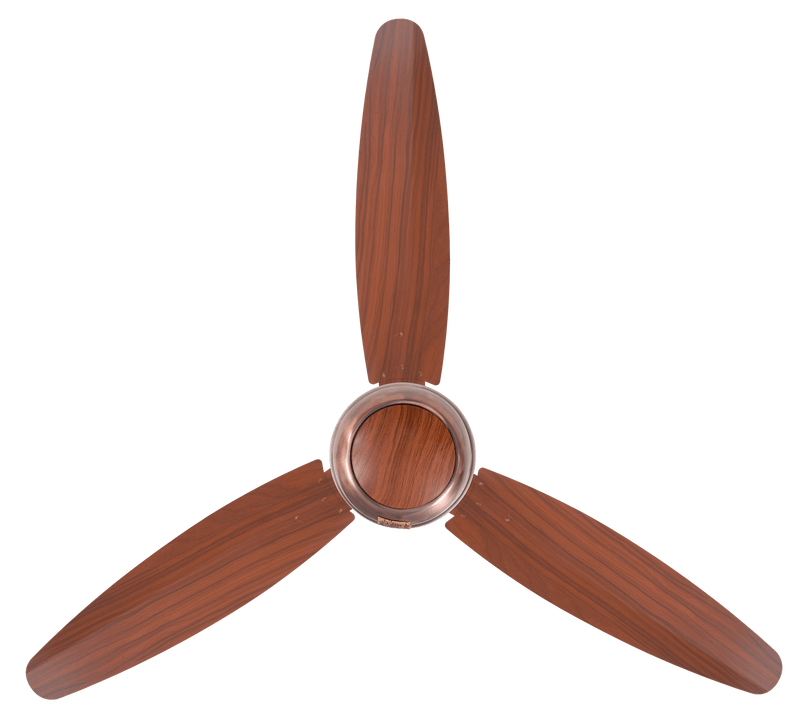Ovate Plus Model | Eco-Smart 30 Watt