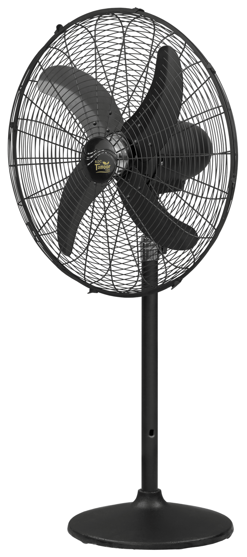 Eco Supreme Model 24" |  AC/DC