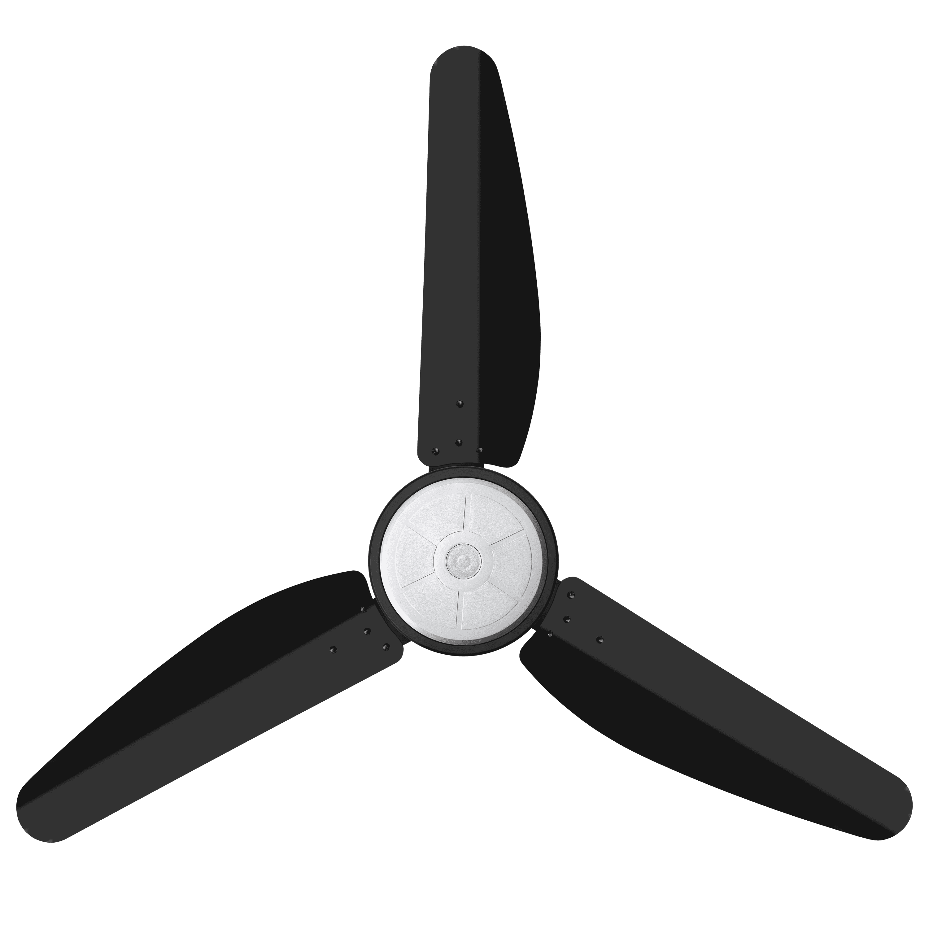 #color_ black-silver