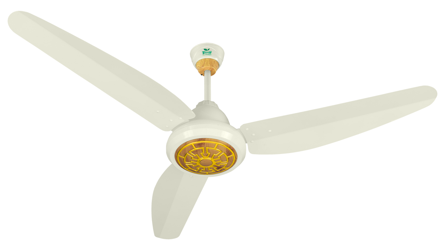 Galaxy Model AC/DC Ceiling Tamoor Fans