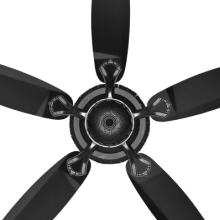 5 Blade Fan