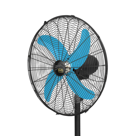 Pedestal Fan
