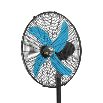 Pedestal Fan