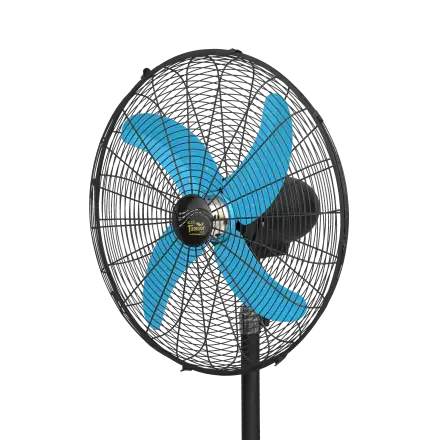 Pedestal Fan