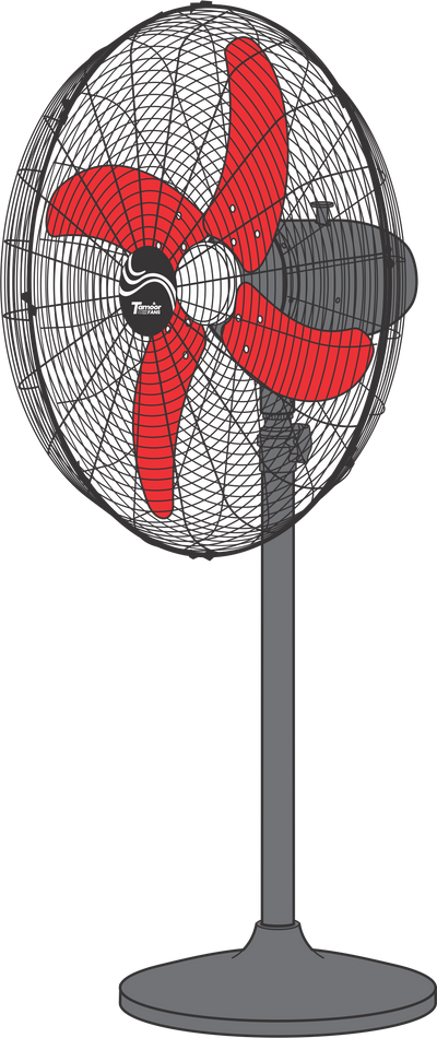 Pedestal Fans