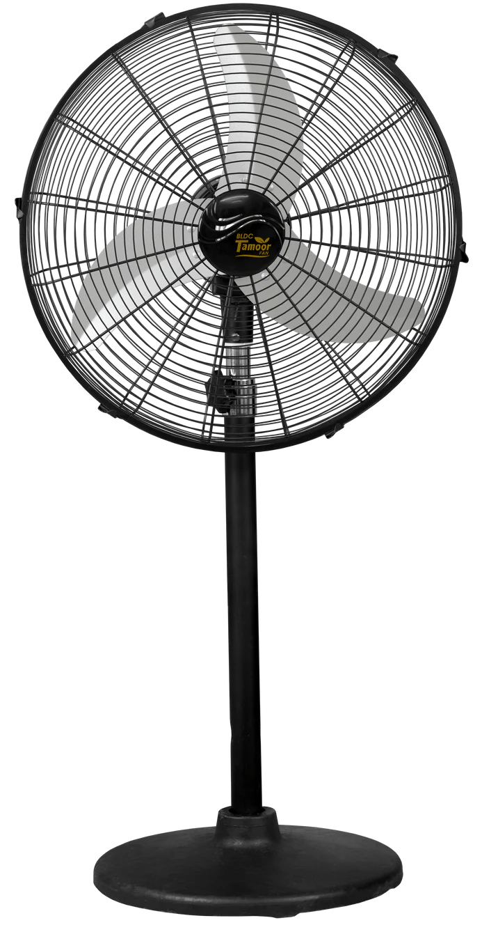 Pedestal Fan