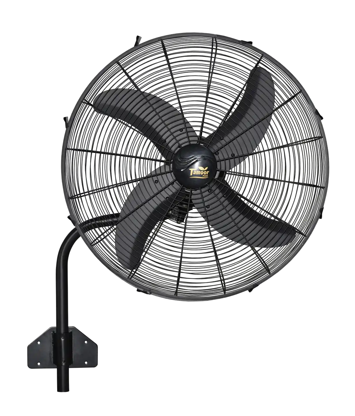 Bracket Fan