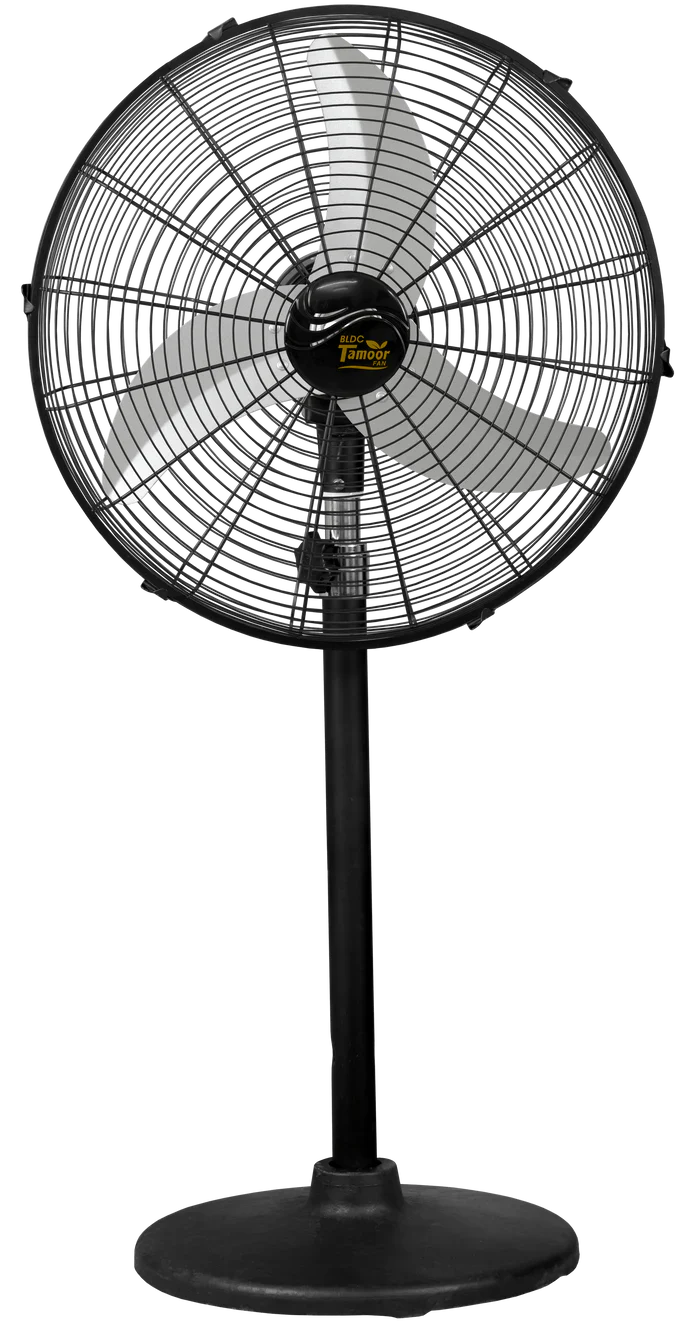 Pedestal Fan