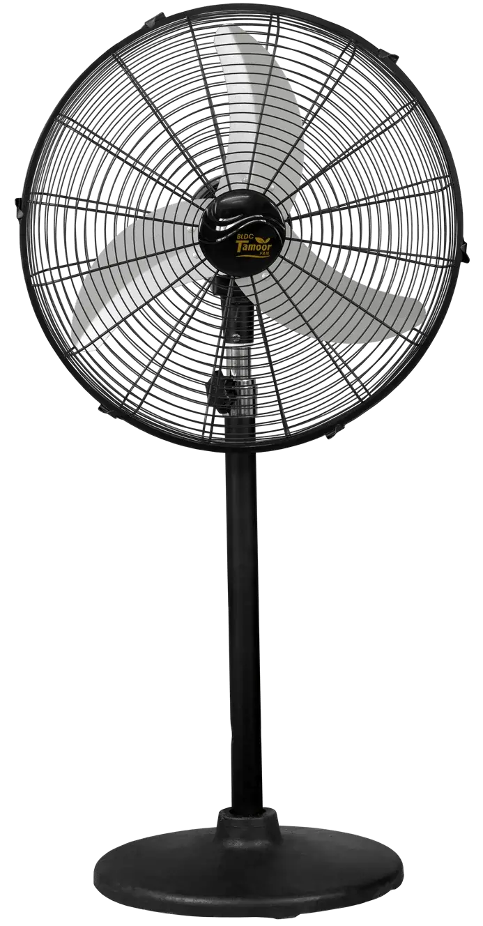 Ceiling Fan